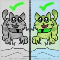 May be grayscale as long as characters are recognizable.